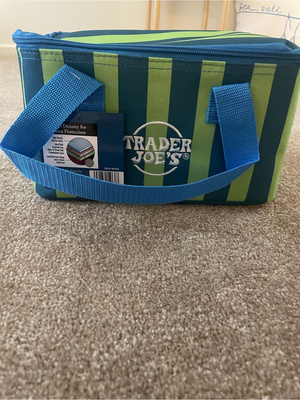 Trader Joe's Green and Blue Striped Insulated Lunch Tote